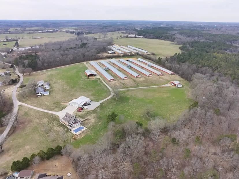 Lakeside Broiler Farm – Six House Farm in Franklin County, Alabama
