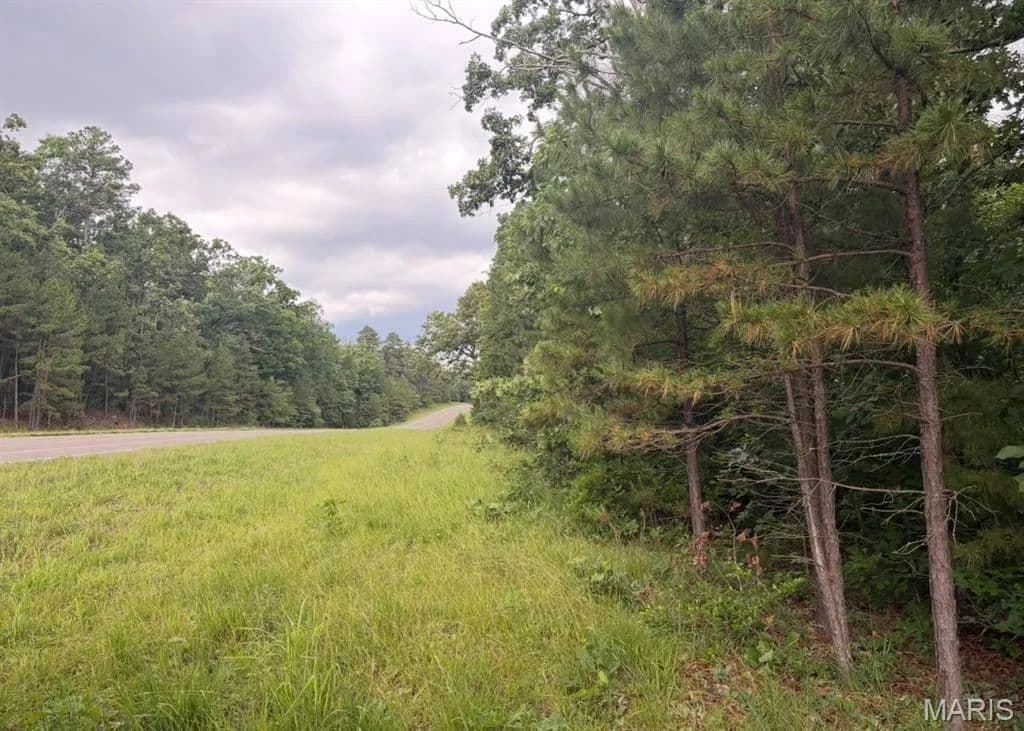 60 Acres of Land for Sale in Ellington, MO - Ellington, Missouri, 63638