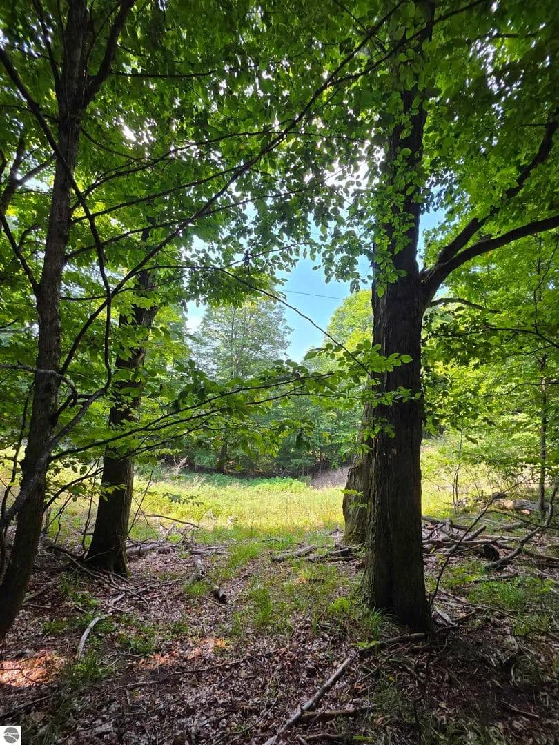 Vacant Land in Bellaire - Bellaire, Michigan, 49615