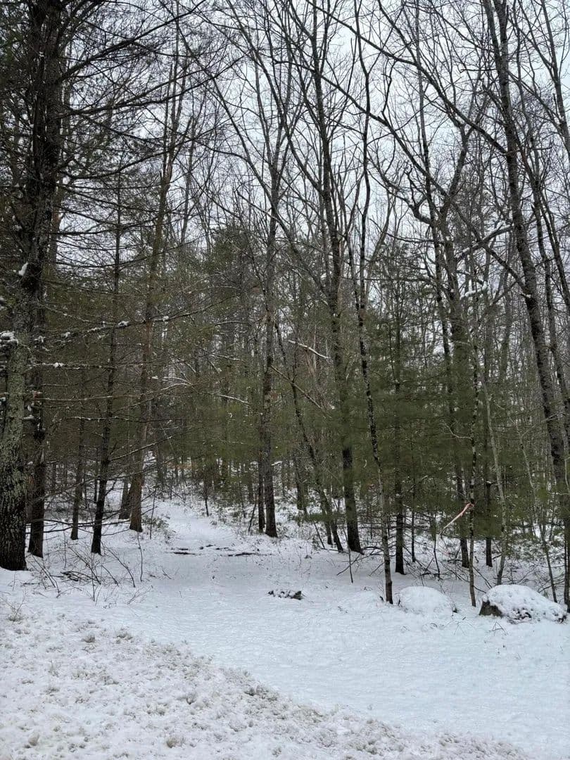 Vacant Land in Woolwich