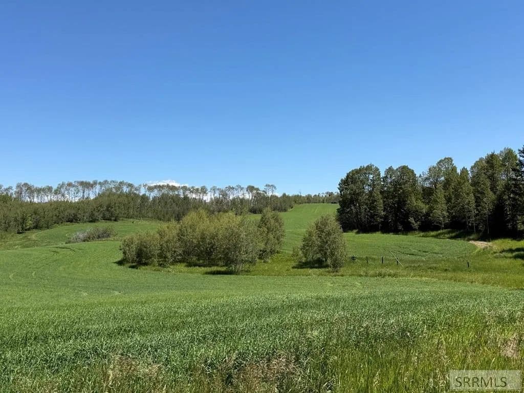 22 Acres of Land for Sale in Ashton, ID - Ashton, Idaho, 83420