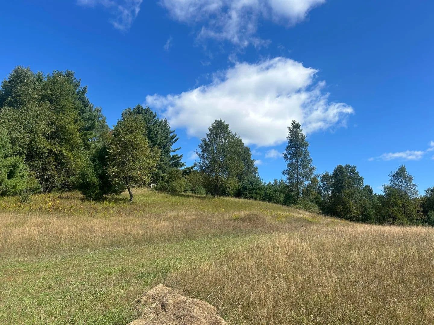 Lots & Land-Other in Tustin - Tustin, Michigan, 49688