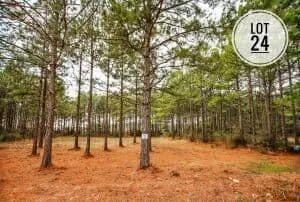 Lots & Land-Other in Anacoco