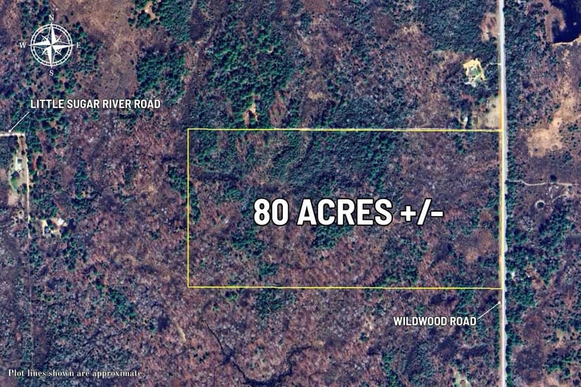 Lots & Land-Other in Alger