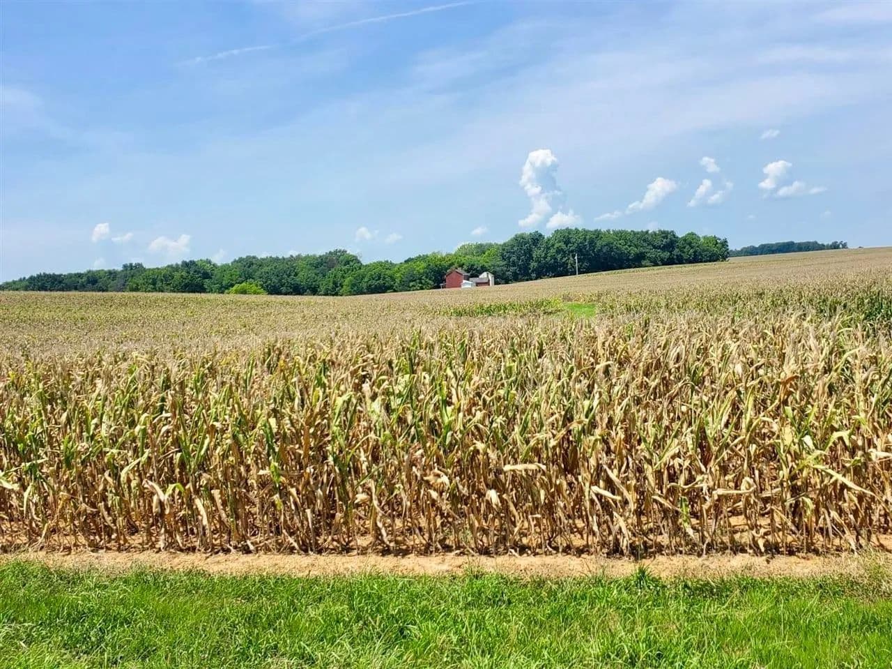 Lots & Land-Other in Franklin - Franklin, Kentucky, 42134