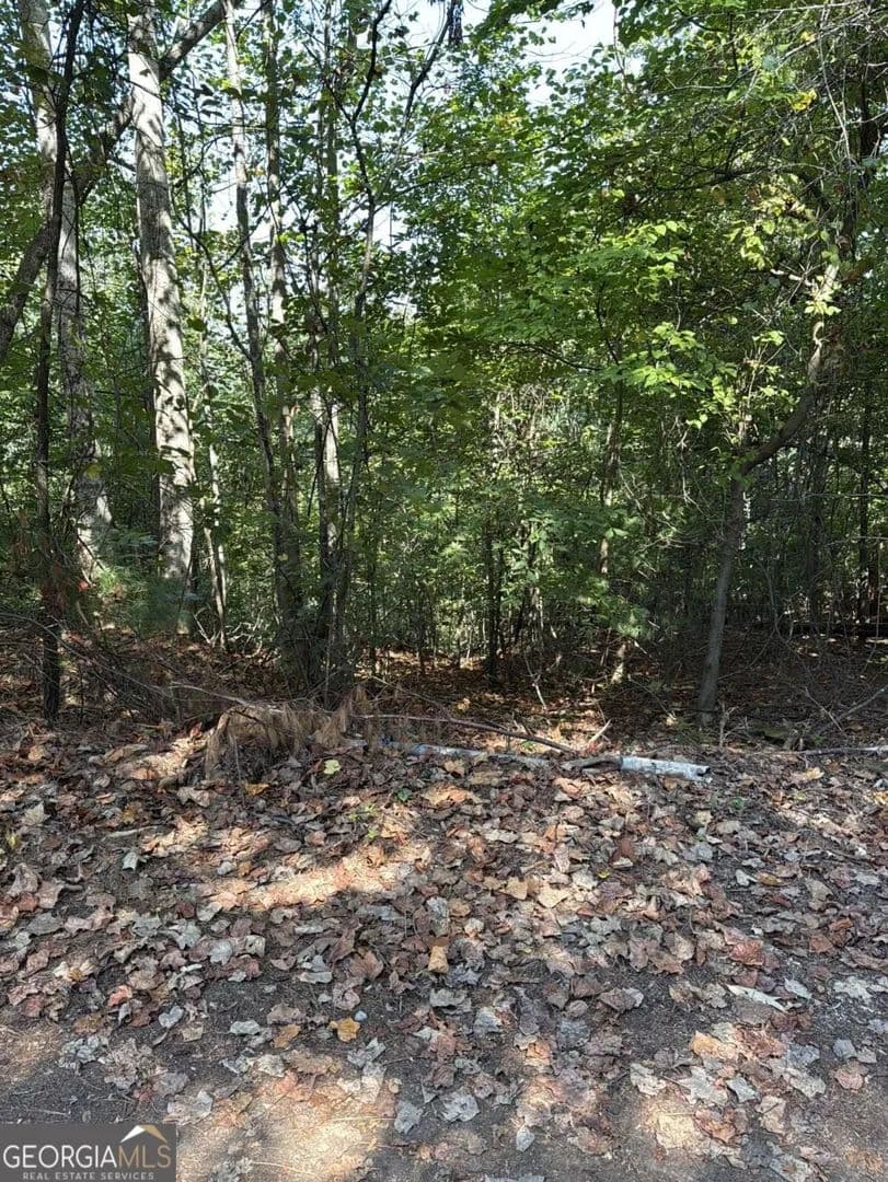 1.05 Acres of Land for Sale in Ranger, GA - Ranger, Georgia, 30734