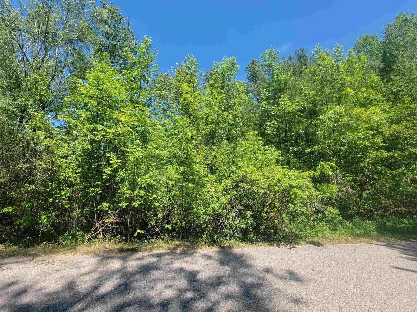 Vacant Land in Gladwin - Gladwin, Michigan, 48624