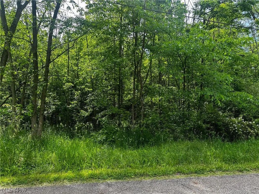 Property from 2375 Howland Wilson Road NE - KW - Cortland, Ohio, 44410
