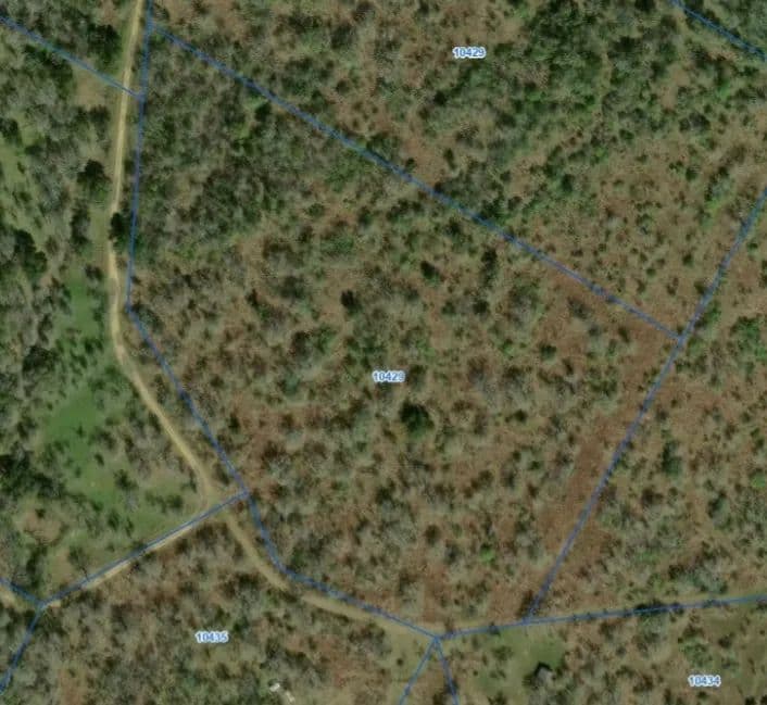 Land -Agricultural (Not Zoned) in Nixon - Nixon, Texas, 78140