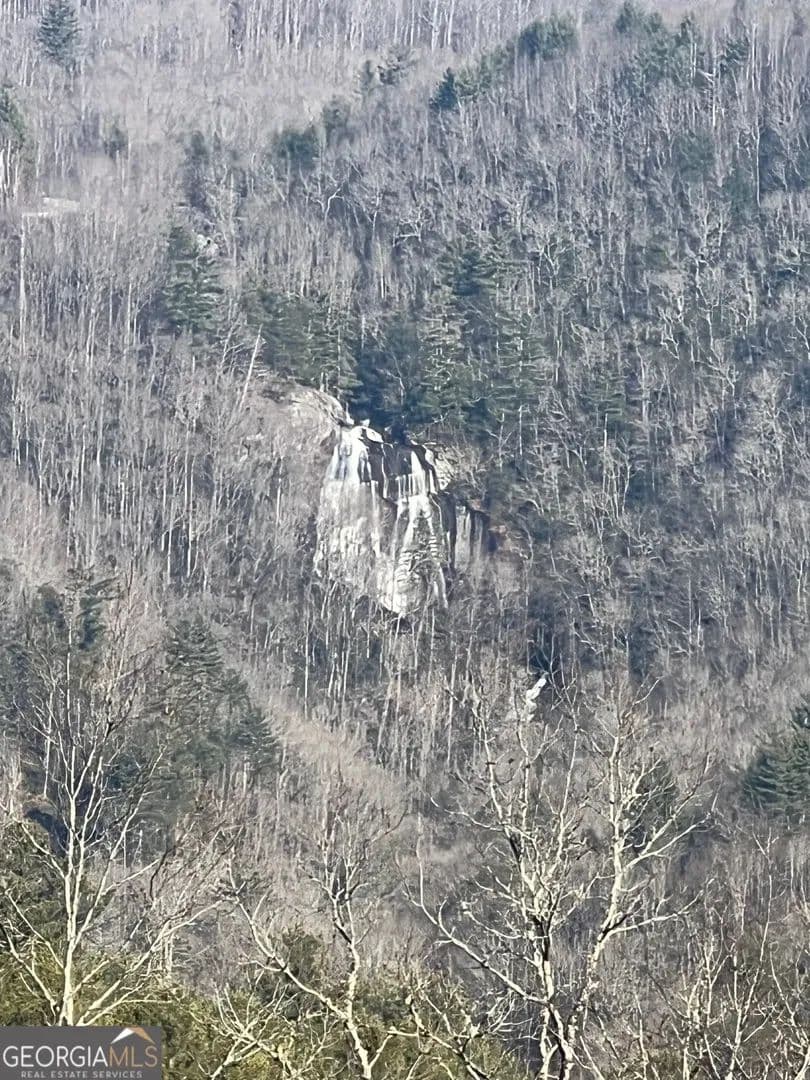 Lots & Land-Other in Dillard - Dillard, Georgia, 30537