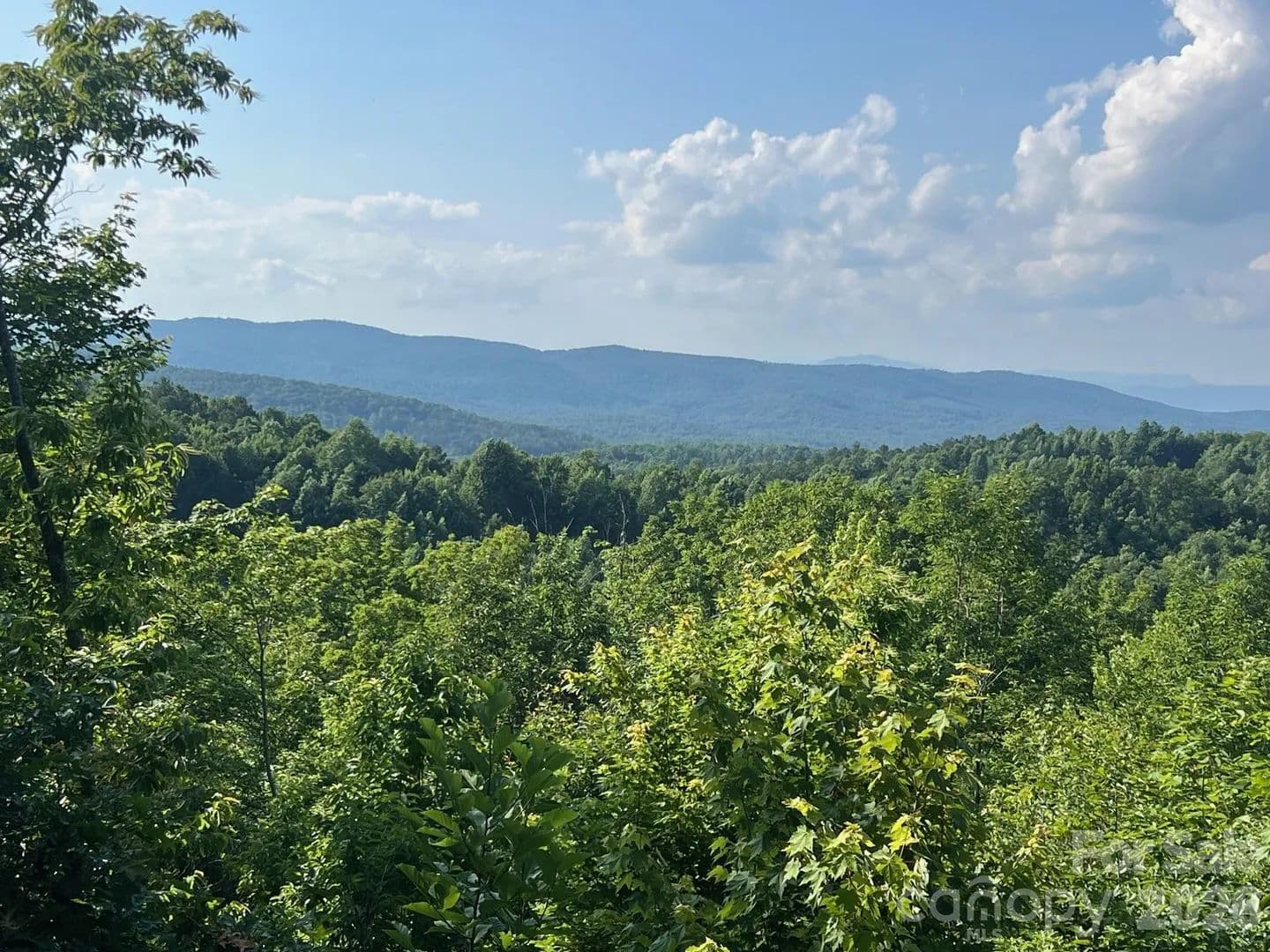 Lots & Land-Other in Nebo - Nebo, North Carolina, 28761