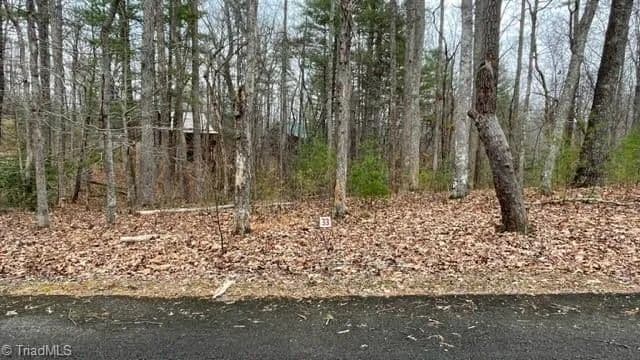 Vacant Land in Stuart - Stuart, Virginia, 24171