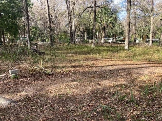 Lots & Land-Other in Inverness - Inverness, Florida, 34453