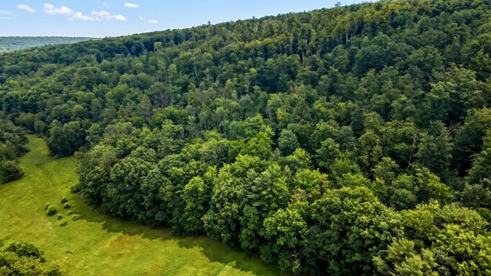 Vacant Land in Westmoreland - Westmoreland, New Hampshire, 03467