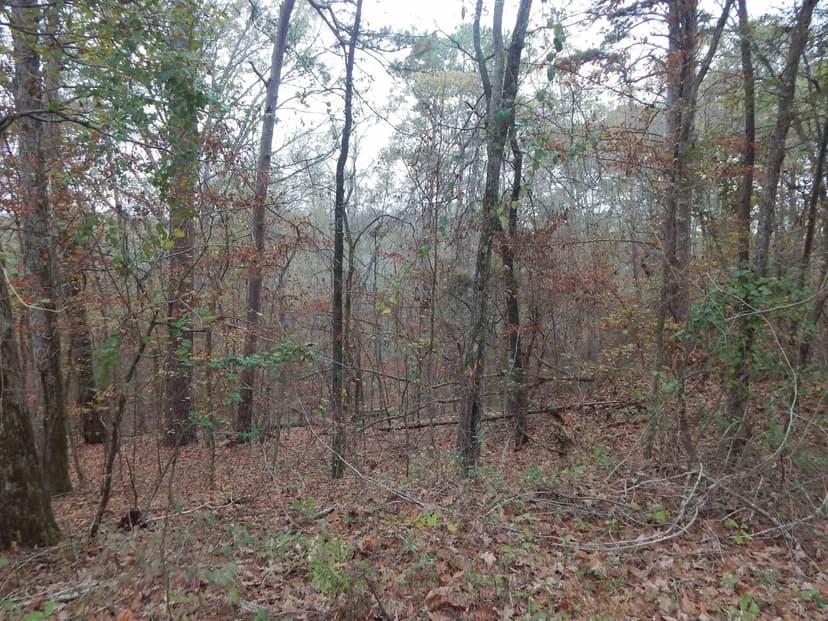 Vacant Land in Gilmer