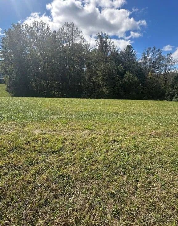 Vacant Land in North Wilkesboro - North Wilkesboro, North Carolina, 28659