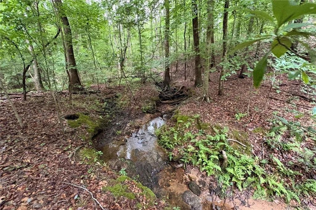 Property from 0 Lanette Circle - KW - Barnesville, Georgia, 30204