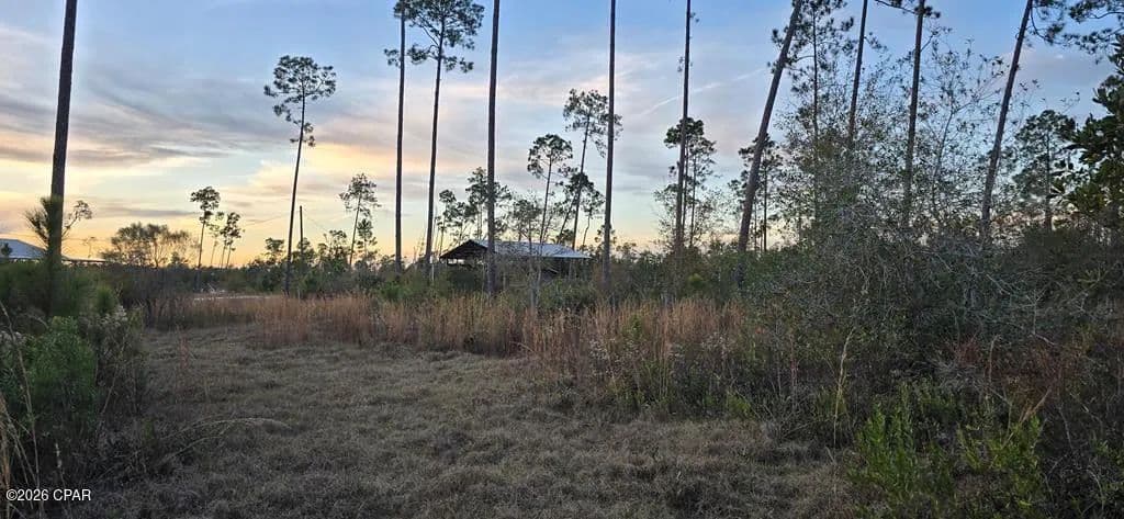 9.59 Acres of Land for Sale in Wewahitchka, FL - Wewahitchka, Florida, 32465