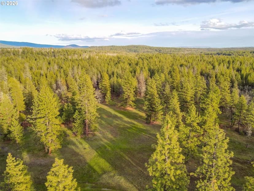 Property from 0 Lot 8 Greyback Mtn RD - KW