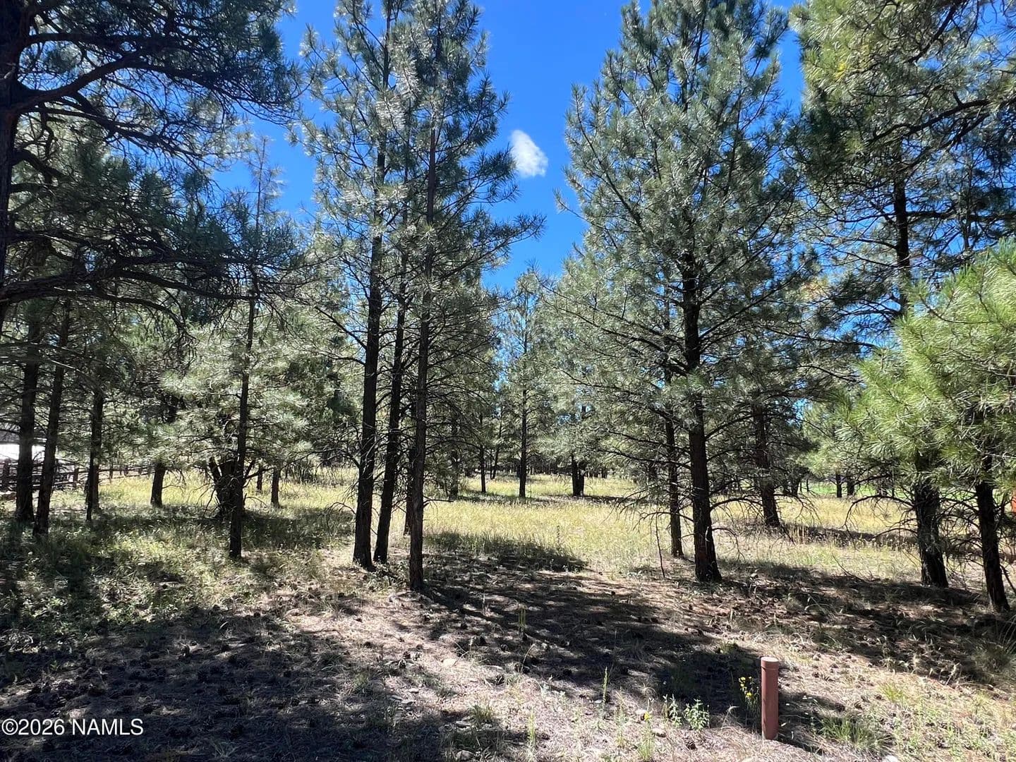 Lots & Land-Other in Williams - Williams, Arizona, 86046