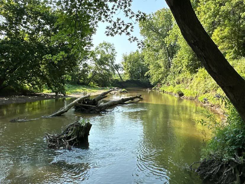 Brouilletts Creek 60