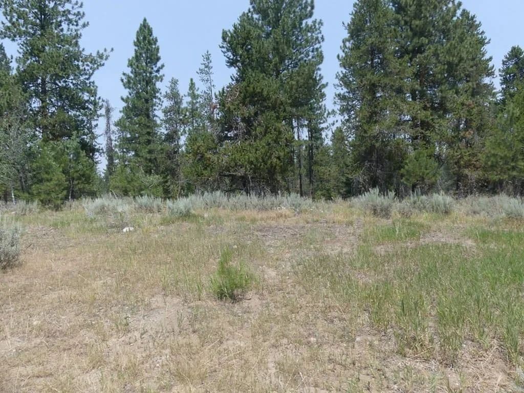Lots & Land-Other in McCall - Mccall, Idaho, 83638