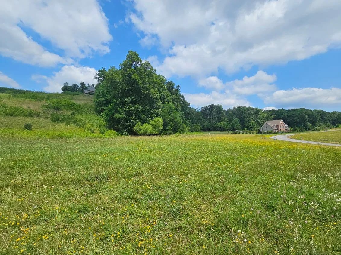 Land -Single Family Acreage in Princeton - Princeton, West Virginia, 24740