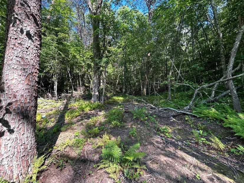 Property from 3970 Highway 68 - KW