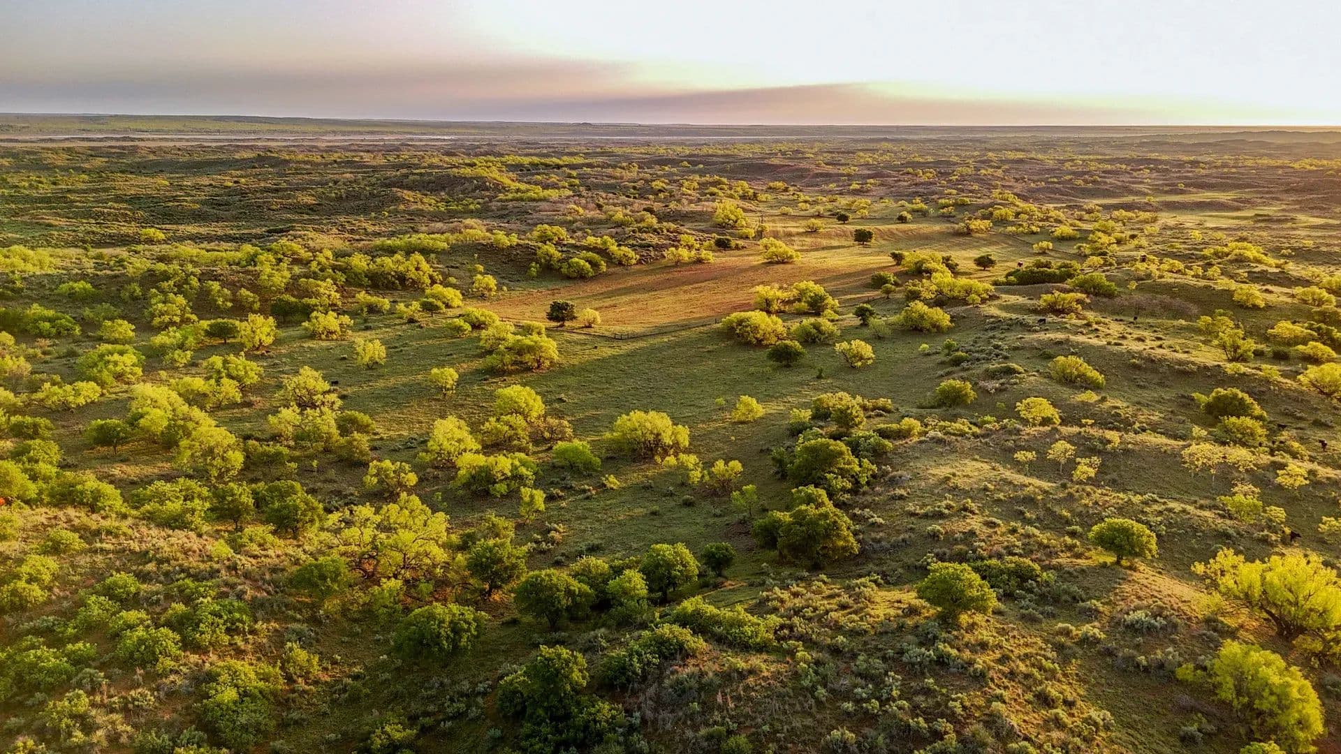 6895 Acres of Land for Sale in Estelline, TX - Estelline, Texas, 79233