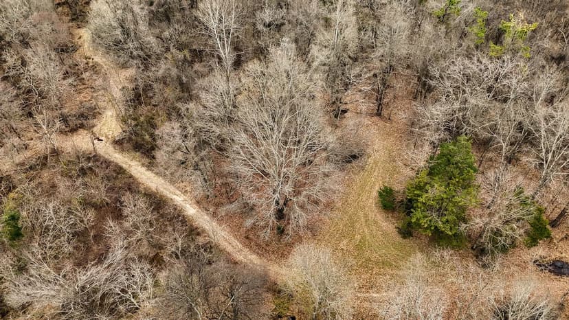 Mississippi Hardwood Hunting Tract with Camp Near Vicksburg