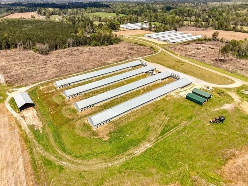Pine Ridge Broiler Farm – Four House Farm in Simpson County, Mississippi - Magee, Mississippi, 39111