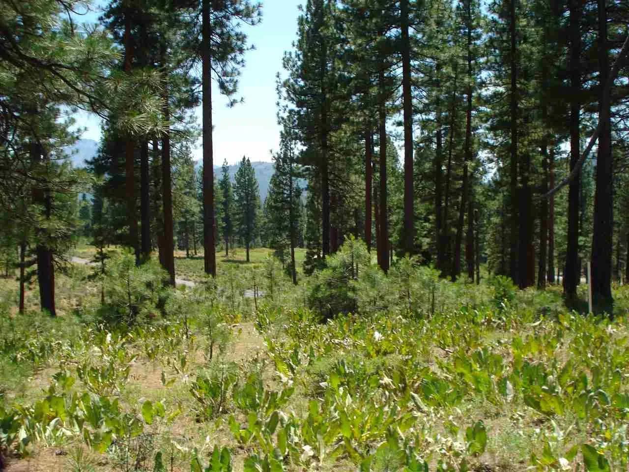 Vacant Land in Portola - Portola, California, 96122