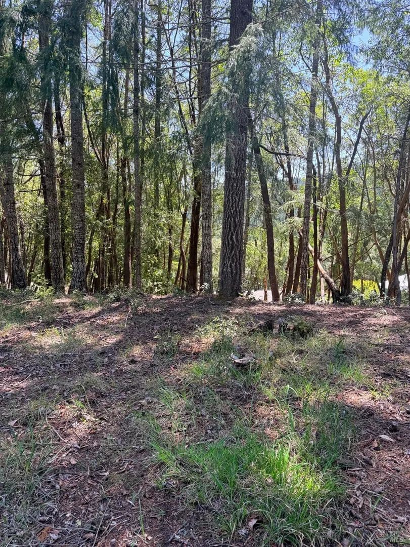 Land -Single Family Acreage in Willits - Willits, California, 95490