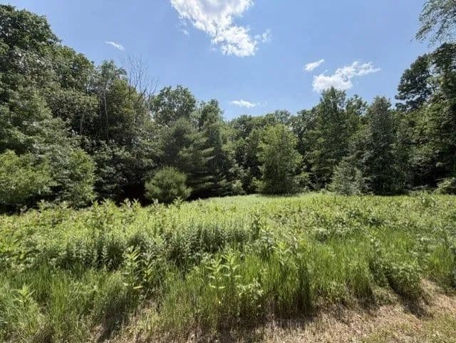Vacant Land in Becket - Becket, Massachusetts, 01223