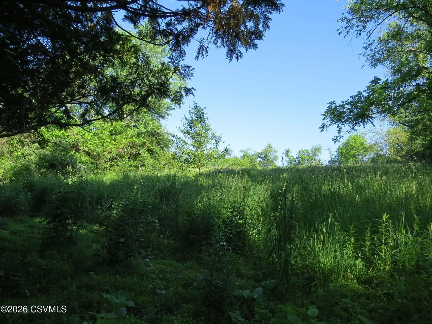 Lots & Land-Other in Bloomsburg - Bloomsburg, Pennsylvania, 17815