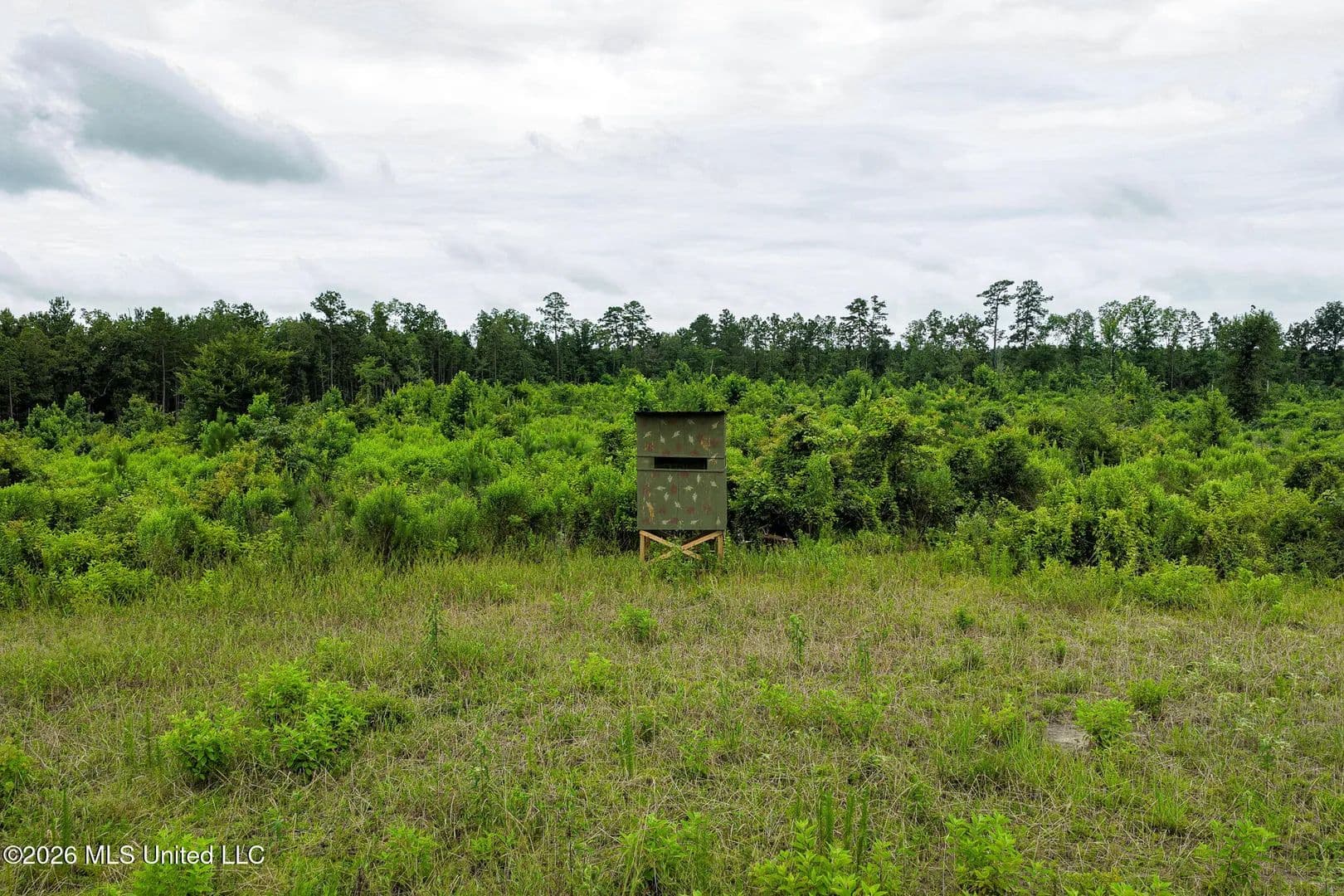 63.75 Acres of Land for Sale in Liberty, MS - Liberty, Mississippi, 39645