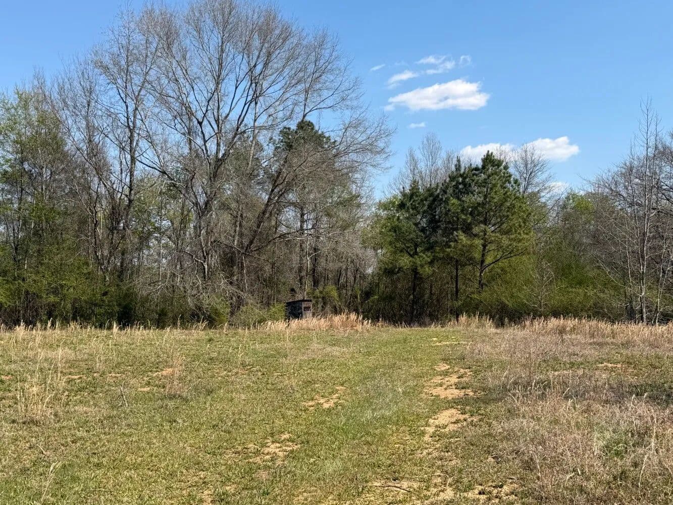 Hubbertville Hunting Tract - Hubbertville, Alabama, 35594
