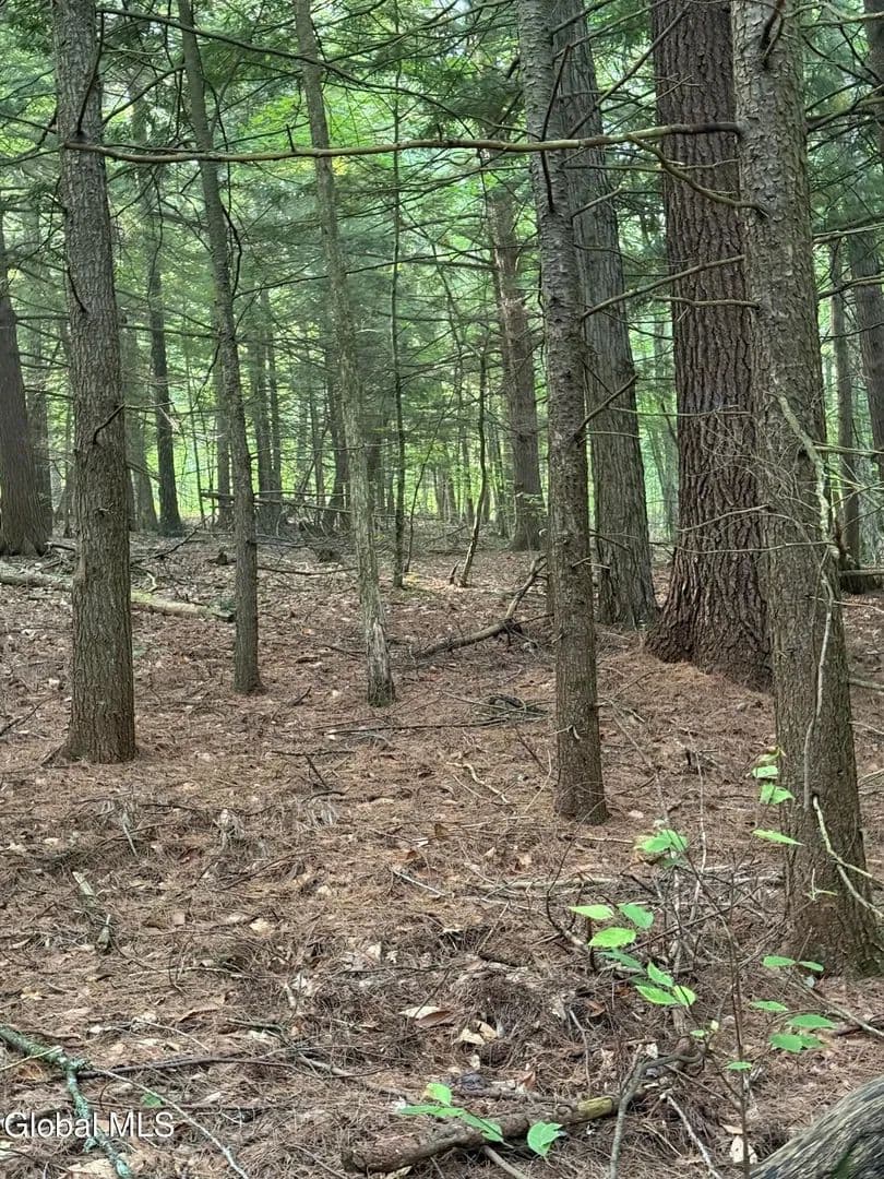 Lots & Land-Other in Bolton - Bolton, New York, 12824