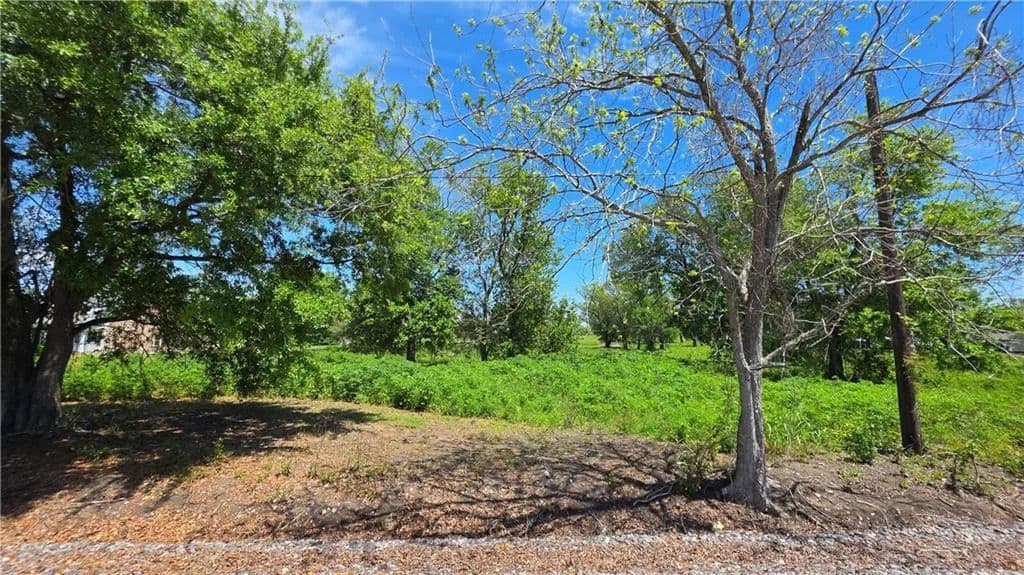 Vacant Land in Belle Chasse - Belle Chasse, Louisiana, 70037