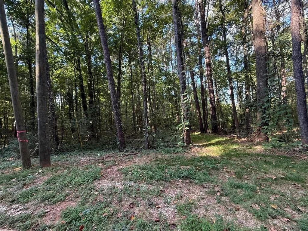 Vacant Land in Stone Mountain - Stone Mountain, Georgia, 30088