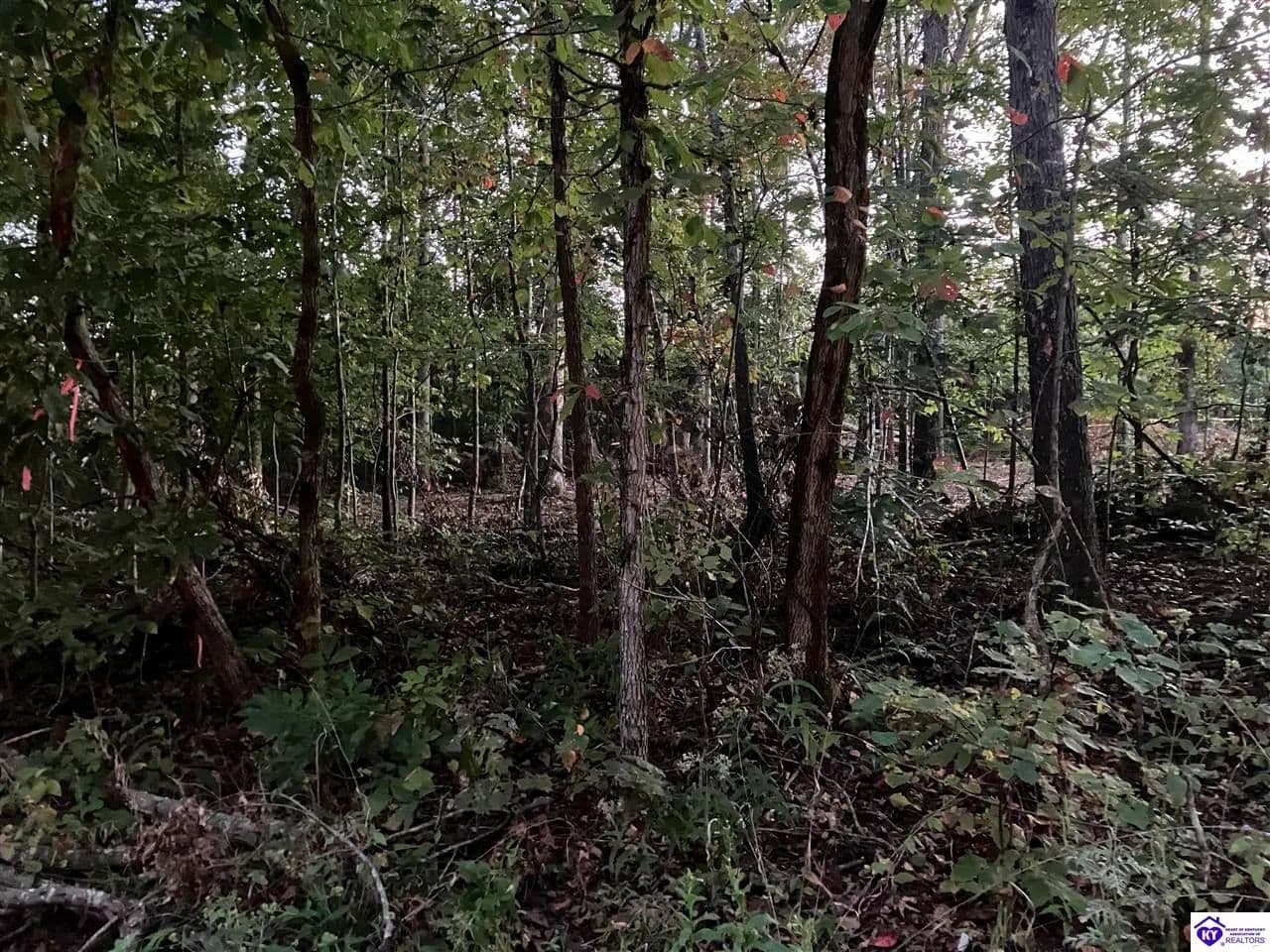 Vacant Land in Leitchfield - Leitchfield, Kentucky, 42754