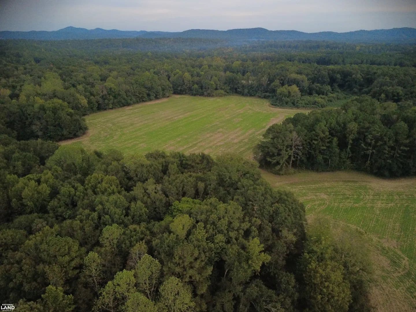 90 Ac YellowLeaf Creek Tract - Wilsonville, Alabama, 35044