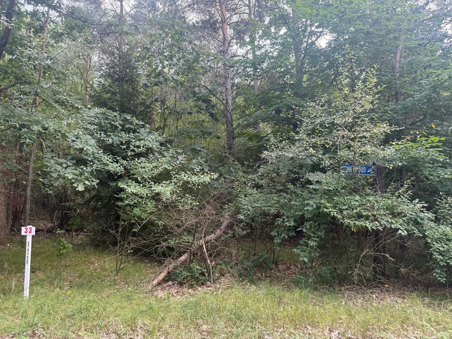 Lots & Land-Other in Stanwood - Stanwood, Michigan, 49346