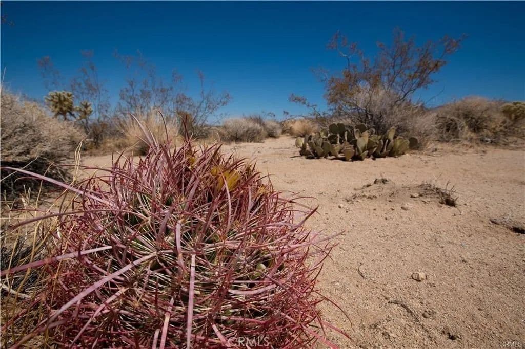 Lots & Land-Other in 29 Palms - California, 92277