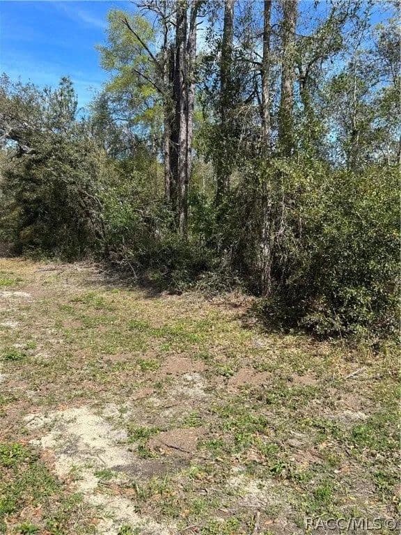 Lots & Land-Other in Citrus Springs - Citrus Springs, Florida, 34434