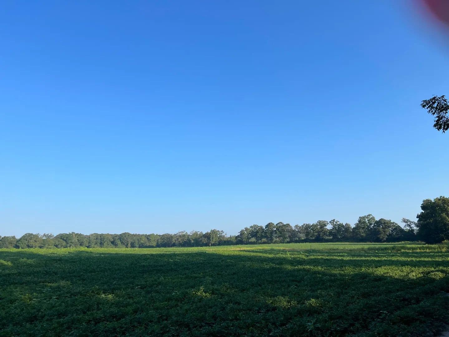 Vacant Land in Laurel Hill - Laurel Hill, Florida, 32567