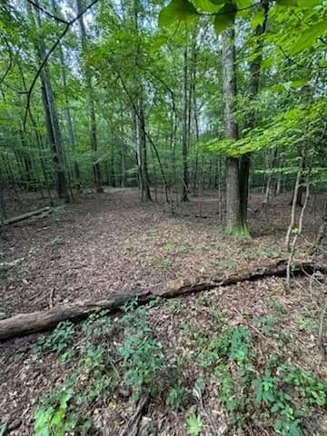 Vacant Land in Fayetteville - Fayetteville, Georgia, 30215