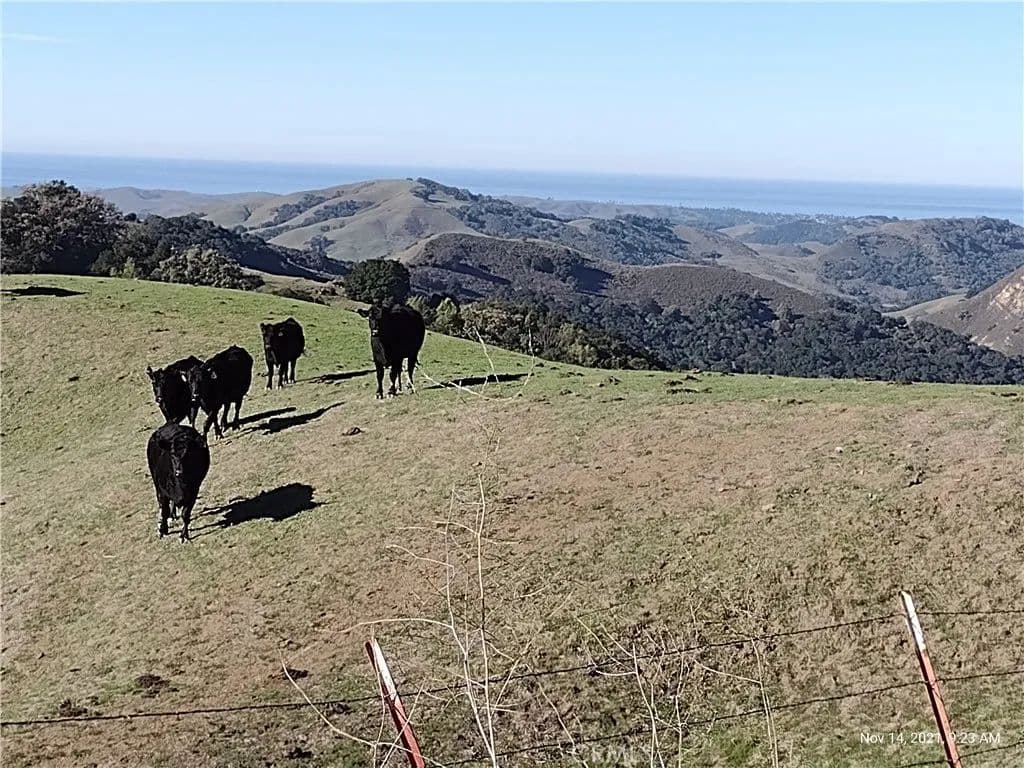 136.6 Acres of Land for Sale in Templeton, CA - Templeton, California, 93465
