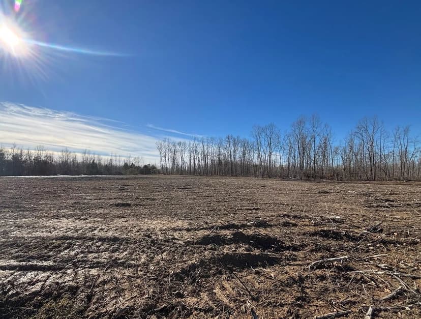 Lots & Land-Other in Wartrace