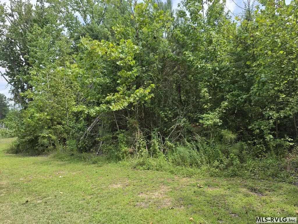 Vacant Land in Roanoke Rapids - Roanoke Rapids, North Carolina, 27870